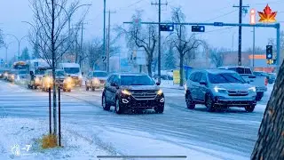Edmonton First Snow ❄️ 2023 | 🥶 -7 | Alberta Canada | #shortvideo #shorts #new #canada