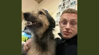 REWOLUCJA
