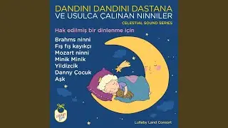 Kedi Gelmiş