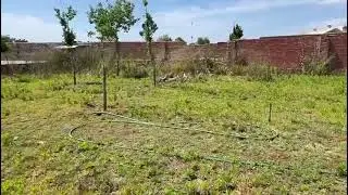 Terreno murado - Zona de Carvide, Monte Real