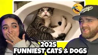 Самые смешные кошки и собаки 2025 года | Испытание &laquo;Попробуй не засмеяться&raquo; | Эти видео нас прост...