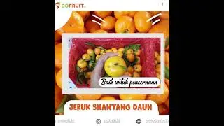jeruk shantang