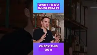 $4 MILLION FROM WHOLESALE ON AMAZON WITH TODD WELCH! 😱