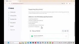 Novo Business Bank Sign-Up Tutorial | Step-by-Step Guide to Opening Your Business Account