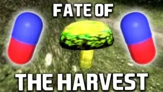 Bro Team Pill - Fate of the Harvest