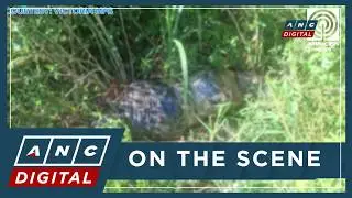 Missing son of slain policewoman found dead in Tarlac | ANC