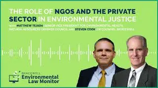 The Role of NGOs and the Private Sector in Environmental Justice With Matthew Tejada and Steven Cook