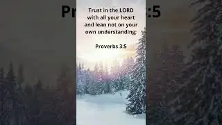 Do You Trust God? | Proverbs 3:5 Memory Verse