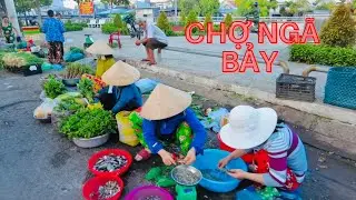 Đi Chợ Ngã Bảy Phụng Hiệp Sáng Sớm