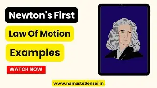5 Examples Of Newton's First Law Of Motion In Daily Life | Physics