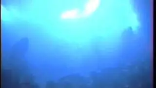 Kyuss - 18 - Writhe (Live Essen 1995)