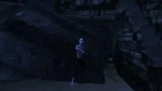 Oblivion - geisteskrank