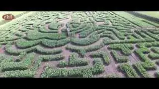 Red House Farm Summer 2015 Maze & Activity Advert