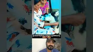 ഇവർക്ക് ആർക്കും ആരുടെയും കണ്ണുപാട്ടതിരിക്കട്ടെ🥰❣️ #shorts #love #dog #cute #viral