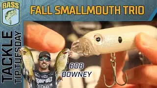 Early Fall Smallmouth necessities with Bob Downey