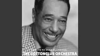 Cotton Club Stomp 2