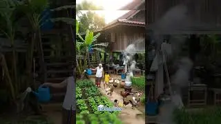 Grandmo watering vegetables in the garden #garden #grandmo #vegetable #village #grandchild