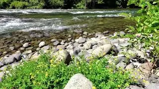 Calm River Flow: Relaxing Music for Peaceful Moments | Unhurried.