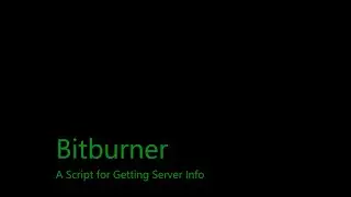 Script for getting server info | Bitburner - A programming-based incremental game