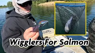Brads Wigglers For King Salmon