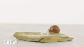 Gel vs Foam // Egg Drop // Saddlemen