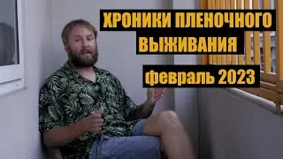 Хроники пленочного выживания февраль 2023