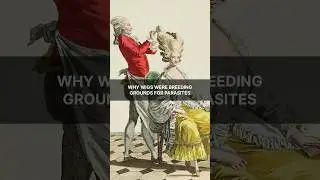 People used to wear wigs, but they weren't cleaned, which led to parasites breeding #historyfacts