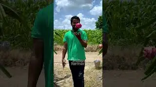 आरंभम 💪🔥 किसानो का दौर आ चूका है | #shorts #indianfarmer