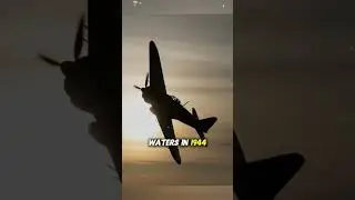 Outnumbered 11 to 1: The Pilot Who Flew Where Death Was Certain