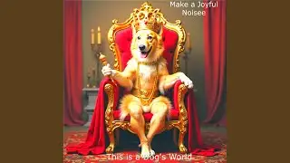 This is a Dog's World