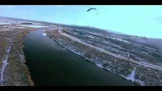 chasing the bird