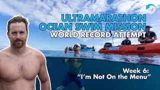 Week 6 - Ultramarathon Ocean Swimmer's Mantra When He's Nervous About Sharks