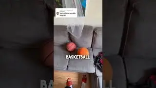 A silent #basketball to practice indoors!