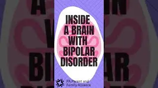 Inside a Brain with Bipolar Disorder