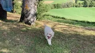 Truffle training: week 1