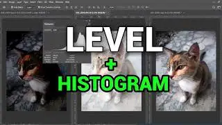 FotoMu Terlihat kusam dan flat? Pahami Cara Pakai Level & Histogram Photoshop! #photoshoptutorial