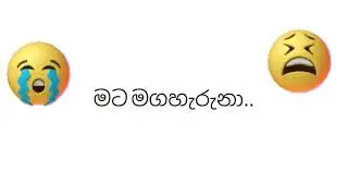 2026.1.1 ඇහෙන song එක
