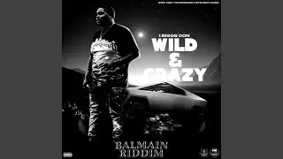 Wild & Crazy (Slow) (Slow Down)