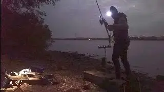 Динозаври клюють уночі 🦈 Браконьєрська Сітка❓Рибалка в Києві 🎣 #fishing #рибалка 