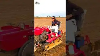 Girl Power on Tractor 🚜🔥 |  Queen Style 😎 | Real Village Life #FarmingGirl #TractorWork #VillageLife