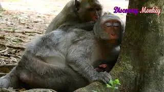 Really pity & sad mom Jade still exhausted & powerless after giving birth newborn Jinx 3 days ago.