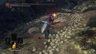 Dark Souls 3 on PC in 4K Mad Spirit Holy Knight Hodrick
