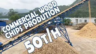 Wood Chips for Paper Mill Commercial Chipping Line