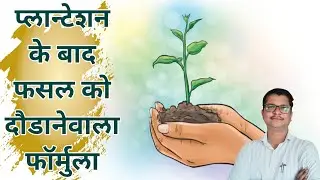 प्लान्टेशन के बाद फसल को दौडानेवाला फॅार्मुला । plant growth