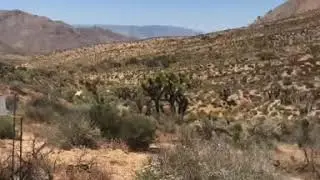 Our desert shade patio