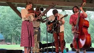 Greasy Coat (the condom song) - The Yellow Dandies @ Kennedy Creek Oldtime Festival 2025
