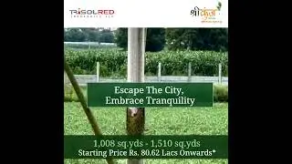 Growing Dreams: Witness the Remarkable Progress of our Farm Land Project! - Shri Kunj
