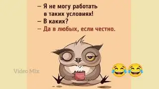 Самая Лучшая Подборка СМЕШНЫХ анекдотов...