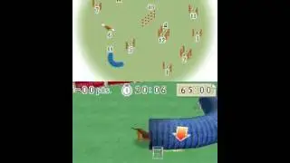 nintendogs-agality trial championship