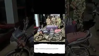 Assam: Prohibited cough syrup seized by Border Security Force